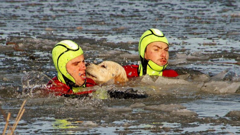 Orus a eu la chance d'être secouru à temps (Photo : Sapeurs Pompiers de Vigneulles)