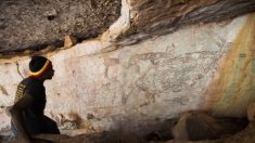 Des archéologues découvrent une peinture de kangourou vieille de 17.000 ans