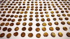 Un ornithologue découvre une pièce d’or dans un champ et déterre 1300 pièces celtiques d’une valeur de 975.000 euros