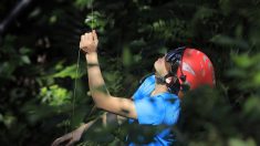 La « généraliste de l’arbre » Karine Marsilly est la cinquième femme arboriste-grimpeuse en France