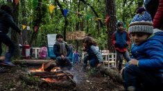 Seine-Maritime : une école maternelle dans la forêt va bientôt ouvrir pour « se reconnecter à la nature »
