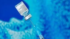 Coronavirus : un vaccin de Pfizer adapté à Omicron sera prêt en mars, annonce son PDG