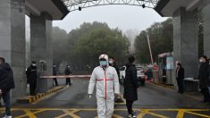 Des scientifiques de renom appellent à une « enquête appropriée » pour déterminer si le virus du PCC provient du laboratoire de virologie de Wuhan