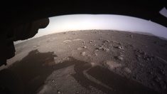 La Nasa dévoile la première vidéo de Mars et les premiers sons enregistrés par Perseverance