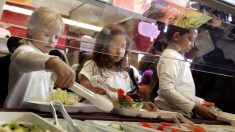 Lyon : les écologistes imposent un menu unique sans viande dans les cantines scolaires