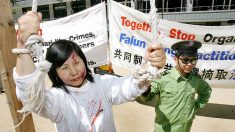 Crimes contre l’humanité : le génocide des Ouïghours et des pratiquants du Falun Gong en Chine