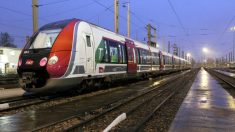 Meulan-en-Yvelines: une femme de 43 ans décède après avoir été happée par un train