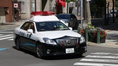 Japon : elle cache le cadavre de sa mère dans un congélateur pendant 10 ans