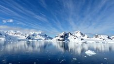 Antarctique : des scientifiques découvrent d’étranges créatures sous 900 mètres de glace