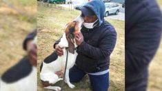La photo des retrouvailles d’un homme et de son chien après un coma de 4 mois devient virale