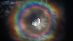 Un photographe capture la lune entourée d’un arc-en-ciel parfait