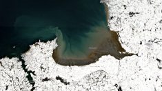 Bretagne sous la neige : les photos spectaculaires prises depuis l’espace