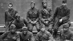 Les Harlem Hellfighters : l’incroyable histoire du régiment américain le plus décoré de la Première Guerre mondiale