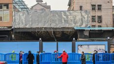 Un opposant chinois qualifie de « farce » la visite de l’OMS à Wuhan