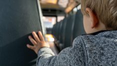 Gard : des enfants de 6 et 7 ans verbalisés dans un bus à destination de la cantine