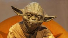 Les enseignements de sagesse de Yoda, le maître Jedi