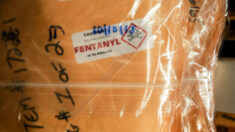 Les quantités de fentanyl entrant aux États-Unis explosent