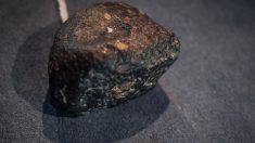 Lot-et-Garonne : la chasse à la météorite tombée près d’Aiguillon est ouverte
