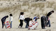 Sète : sur l’initiative d’un collégien, des élèves de 6e ramassent 186 kg de déchets sur la plage du Lazaret