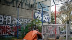 A Berlin, la galère de femmes sans abri pendant la pandémie