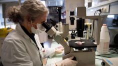 Eure : pour lutter contre le coronavirus, un laboratoire développe un traitement à base de plantes