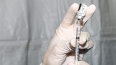 Les rapports d’incidents indésirables aux États-Unis font état de 966 décès à la suite de la vaccination contre le Covid-19