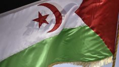 L’Algérie prévoit un projet de loi sur la déchéance de la nationalité visant la diaspora algérienne