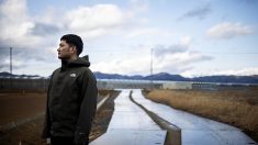 Japon: les enfants du tsunami de 2011 marqués à jamais