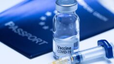 Le passeport vaccinal pourrait ne pas être efficace pour réduire la propagation du Covid-19 selon des experts