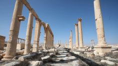 La guerre en Syrie, une « apocalypse culturelle » pour les joyaux du patrimoine