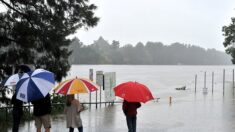 Australie: Sydney s’attend à ses pires inondations depuis des décennies
