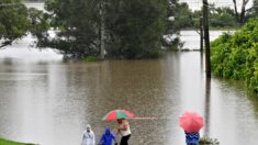 Le sud-est de l’Australie les pieds dans l’eau après des pluies diluviennes