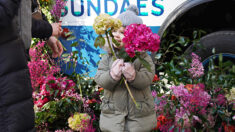 Normandie : à bord de son « flower truck », Marion vend et livre des fleurs