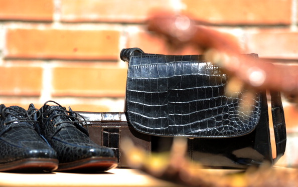 -Une paire de chaussures et un sac en peau de crocodile. Photo Orlando Sierra / AFP via Getty Images.