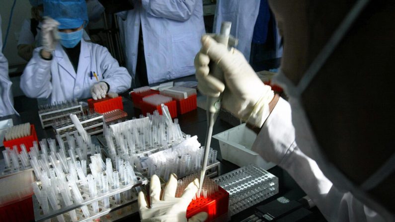 Des techniciens de laboratoire testent des échantillons de sang dans un hôpital pour animaux à Pékin le 6 février 2004. (Frederic J. Brown/AFP via Getty Images)
