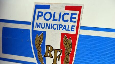 Nice : des policiers attaqués et blessés par une cinquantaine d’individus