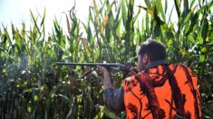 Vosges : un jeune chasseur tué d’une balle dans la tête
