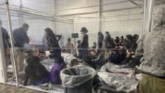 Des photos ayant fait l’objet d’une fuite montrent des enfants entassés dans des « conditions terribles » dans un centre de patrouille frontalière