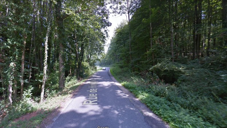 Cette route rurale reliant Hirsingue à Wittersdorf ferme tous les soirs du 2 au 29 mars 2021 pour le bénéfice des grenouilles. (Capture d'écran/Google Maps)