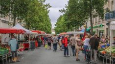 Charente-Maritime : Rochefort remporte le concours du « Plus beau marché »
