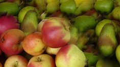 Rouen : 7 tonnes de fruits et légumes offerts à des étudiants par des agriculteurs de Seine-Maritime