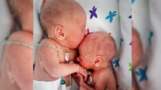 Des parents prennent des photos du premier câlin d’un bébé prématuré à son frère jumeau depuis qu’ils ont été séparés à la naissance