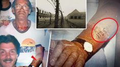 Une Juive remarque des chiffres tatoués sur le bras de son oncle ; en découvrant leur origine elle est bouleversée