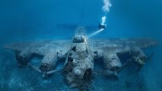 Un plongeur prend des photos étonnantes de l’épave sous-marine d’un avion de la Seconde Guerre mondiale au large de la Croatie