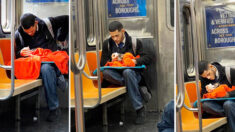 Une passagère du métro de New York aperçoit un homme qui nourrit un petit chaton au biberon : « Ça a renouvelé ma foi en l’humanité »