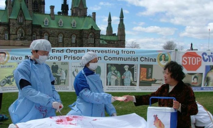 Des pratiquants de Falun Gong reconstituent une scène de prélèvement d'organes en Chine. (Xiaoyan Sun/The Epoch Times)