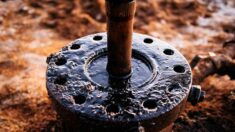 Algérie : un agriculteur creuse un puits dans son jardin pour trouver de l’eau et découvre du pétrole