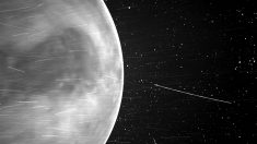 La Nasa dévoile une photo inédite de la planète Vénus
