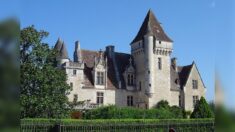 Dordogne : naissance de deux bébés chouettes au Château des Milandes