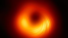 Une étoile qui tourne autour d’un « compagnon invisible » : un nouveau et très grand trou noir vient d’être décelé